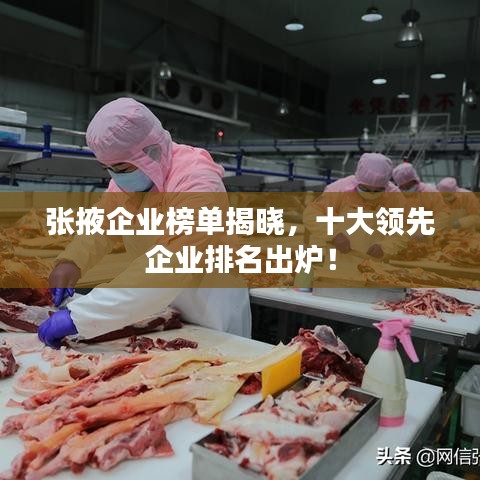 张掖企业榜单揭晓，十大领先企业排名出炉！