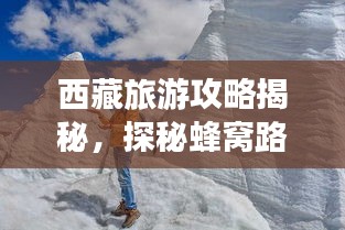 西藏旅游攻略揭秘，探秘蜂窝路径的神秘之旅