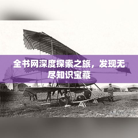全书网深度探索之旅，发现无尽知识宝藏