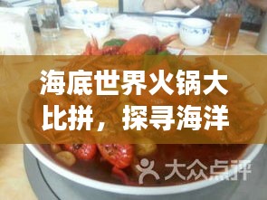 海底世界火锅大比拼，探寻海洋美食的魅力排名！