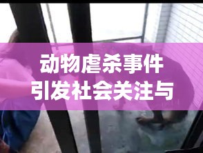 动物虐杀事件引发社会关注与反思，道德伦理的警钟敲响