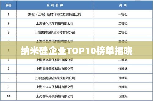 纳米硅企业TOP10榜单揭晓