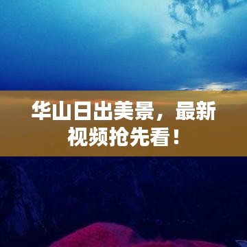 华山日出美景，最新视频抢先看！