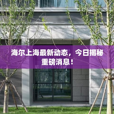 海尔上海最新动态，今日揭秘重磅消息！