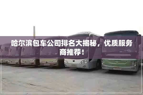 哈尔滨包车公司排名大揭秘，优质服务商推荐！