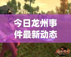 今日龙州事件最新动态解析