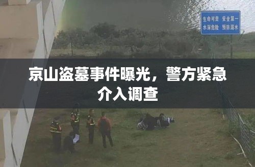 京山盗墓事件曝光，警方紧急介入调查