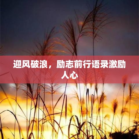 踊贵屦贱 第2页