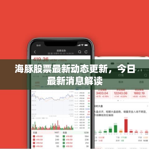 海豚股票最新动态更新，今日最新消息解读