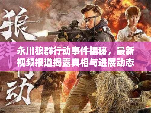 永川狼群行动事件揭秘，最新视频报道揭露真相与进展动态