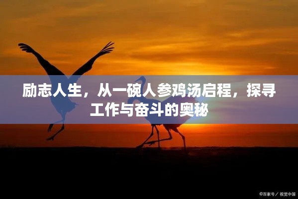 励志人生，从一碗人参鸡汤启程，探寻工作与奋斗的奥秘