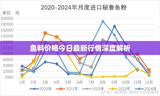 鱼料价格今日最新行情深度解析