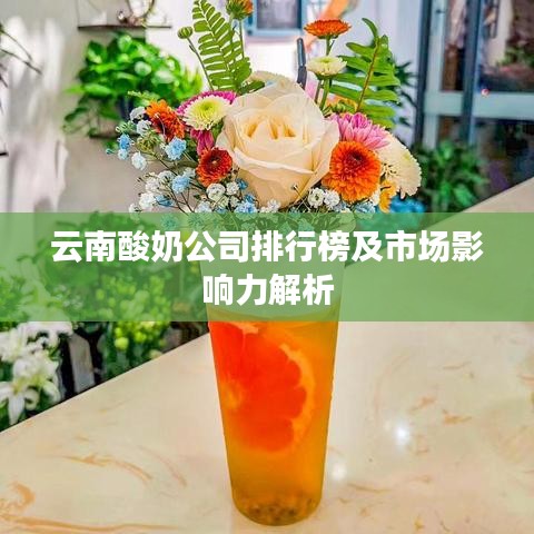 云南酸奶公司排行榜及市场影响力解析
