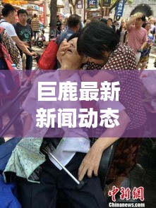 巨鹿最新新闻动态更新速递
