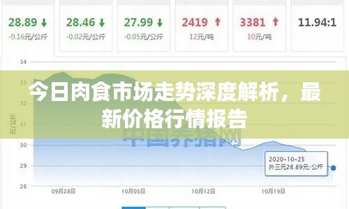 今日肉食市场走势深度解析，最新价格行情报告