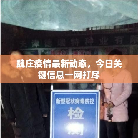 魏庄疫情最新动态，今日关键信息一网打尽
