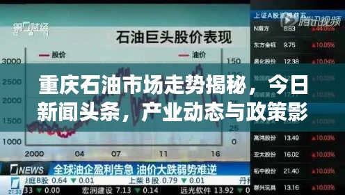 张张屈屈 第2页