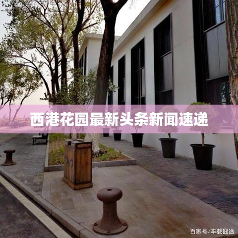 西港花园最新头条新闻速递