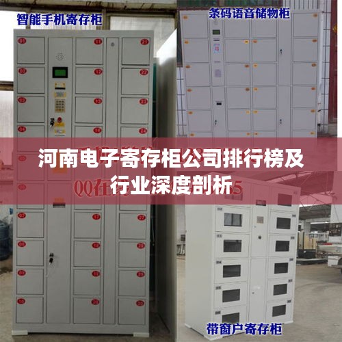 河南电子寄存柜公司排行榜及行业深度剖析