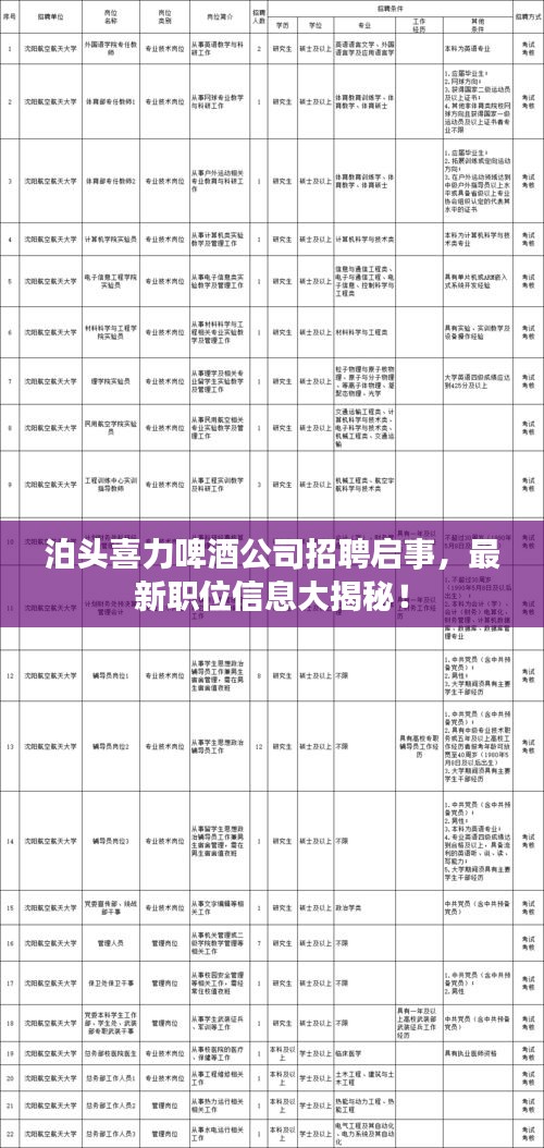 泊头喜力啤酒公司招聘启事，最新职位信息大揭秘！