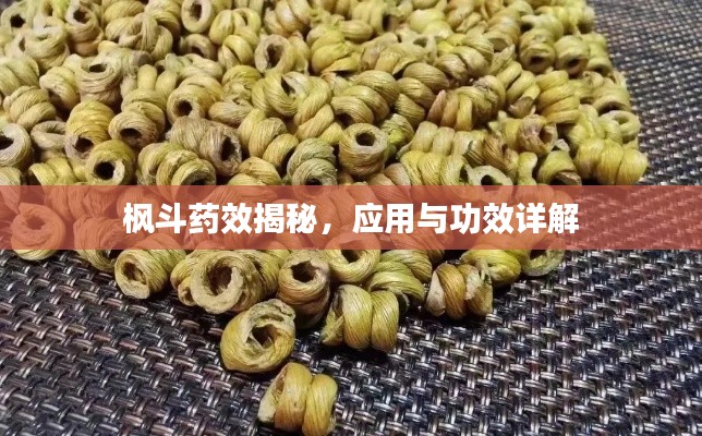 枫斗药效揭秘，应用与功效详解
