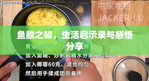 鱼胶之韧，生活启示录与感悟分享