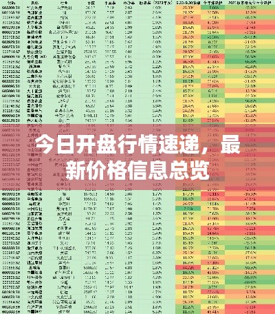 今日开盘行情速递，最新价格信息总览