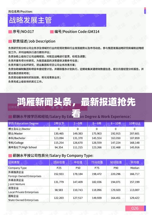 鸿雁新闻头条，最新报道抢先看