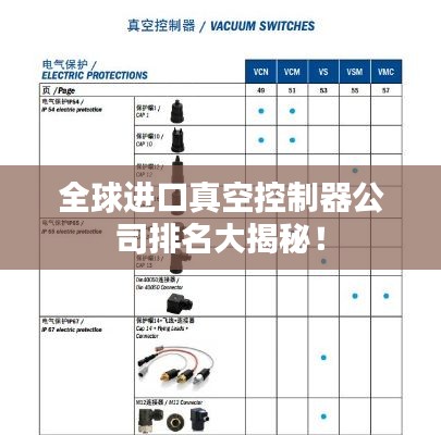 全球进口真空控制器公司排名大揭秘！