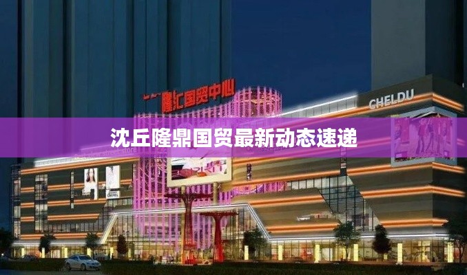 沈丘隆鼎国贸最新动态速递