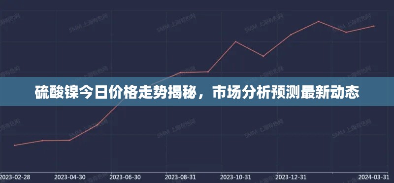 硫酸镍今日价格走势揭秘，市场分析预测最新动态