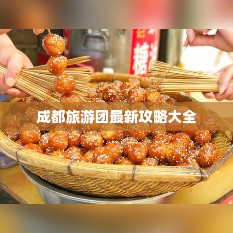 成都旅游团最新攻略大全