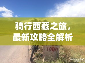 德才兼备 第2页