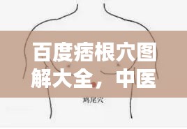 百度痞根穴图解大全，中医穴位深度解析