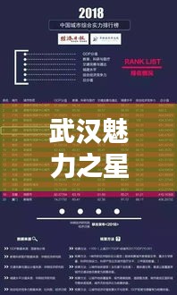 武汉魅力之星榜单揭晓，十大明星闪耀江城
