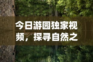 今日游园独家视频，探寻自然之美的独特之旅