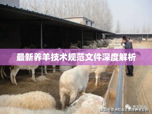 最新养羊技术规范文件深度解析