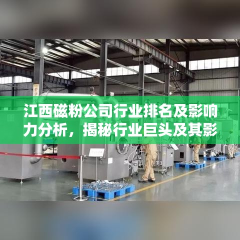 江西磁粉公司行业排名及影响力分析，揭秘行业巨头及其影响力