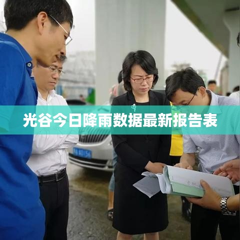 光谷今日降雨数据最新报告表