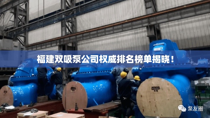 福建双吸泵公司权威排名榜单揭晓！