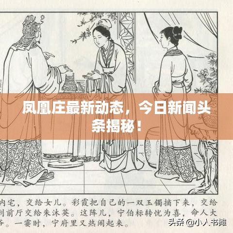 凤凰庄最新动态，今日新闻头条揭秘！