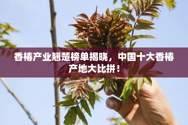 香椿产业翘楚榜单揭晓，中国十大香椿产地大比拼！