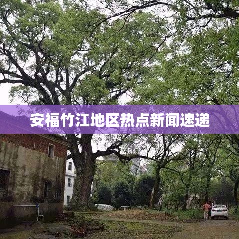 安福竹江地区热点新闻速递