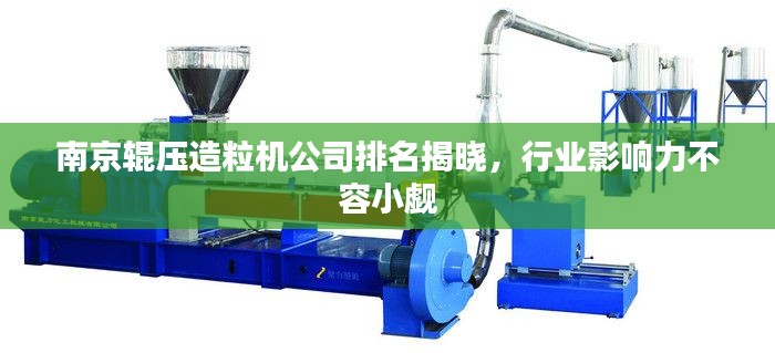 南京辊压造粒机公司排名揭晓，行业影响力不容小觑