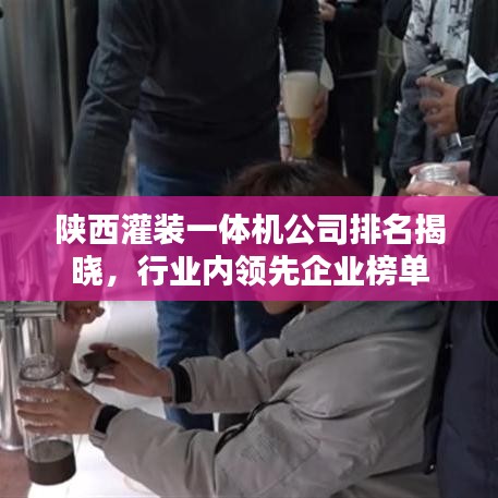陕西灌装一体机公司排名揭晓，行业内领先企业榜单