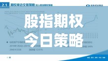 股指期权今日策略深度解析