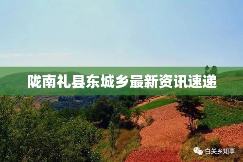 陇南礼县东城乡最新资讯速递