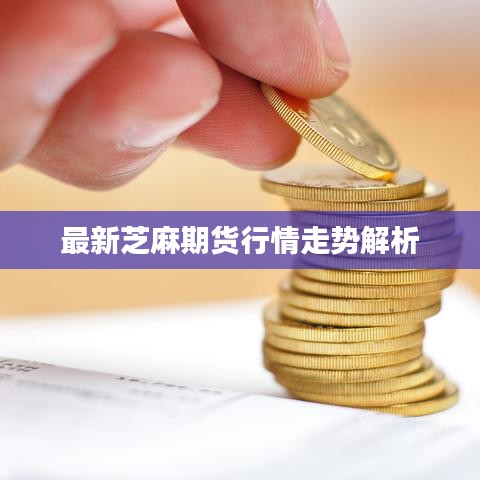 最新芝麻期货行情走势解析
