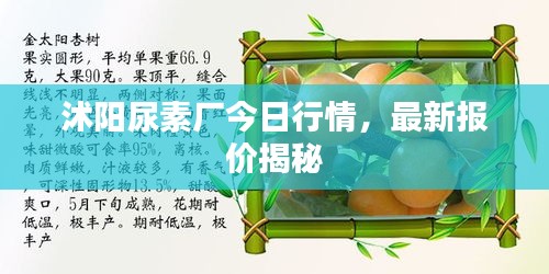 沭阳尿素厂今日行情，最新报价揭秘