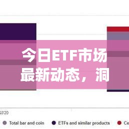 今日ETF市场最新动态，洞悉市场走势，把握黄金投资机会